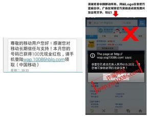 《Q2移動(dòng)安全報(bào)告深度解讀 支付安全問(wèn)題高居榜首，網(wǎng)絡(luò)安全軟件開發(fā)迎來(lái)新挑戰(zhàn)與機(jī)遇》